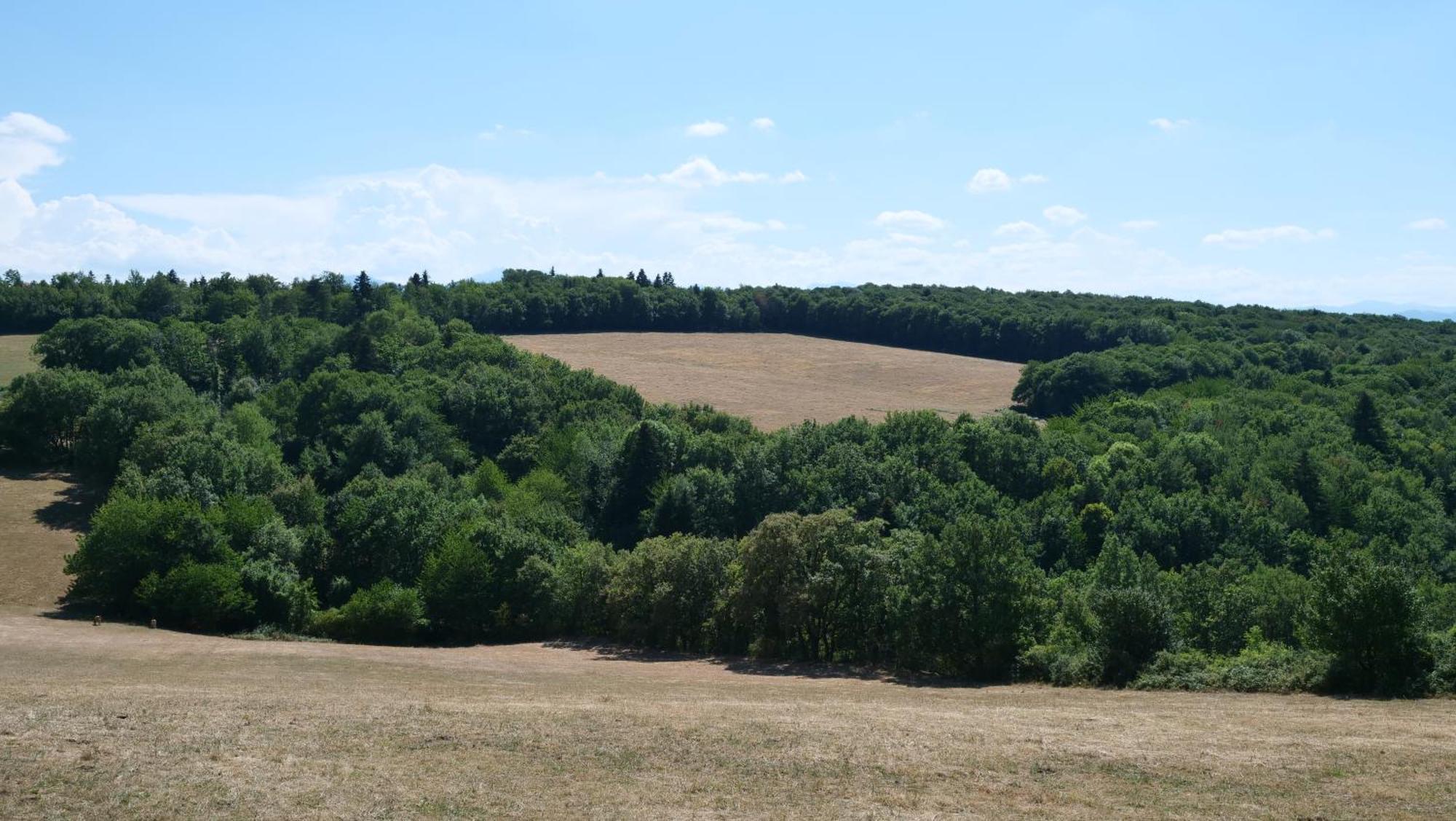 Maison Avec Vue Sur Le Lac De Montbel Zewnętrze zdjęcie